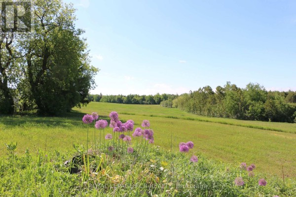 515273 2nd Line, Amaranth, ON L9W0Y8 Photo 3
