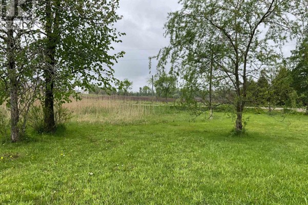 5169 First Line, Erin, ON, photo 3