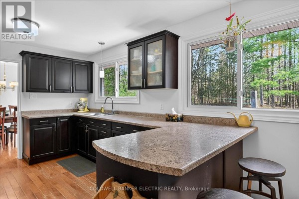 517 2nd Line Belmont, Havelock Belmont Methuen, ON, photo 2