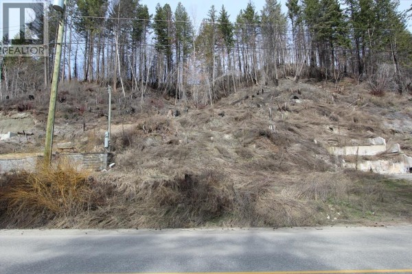 5183 Squilax Anglemont Road, Celista, BC V0E1M6 Photo 4
