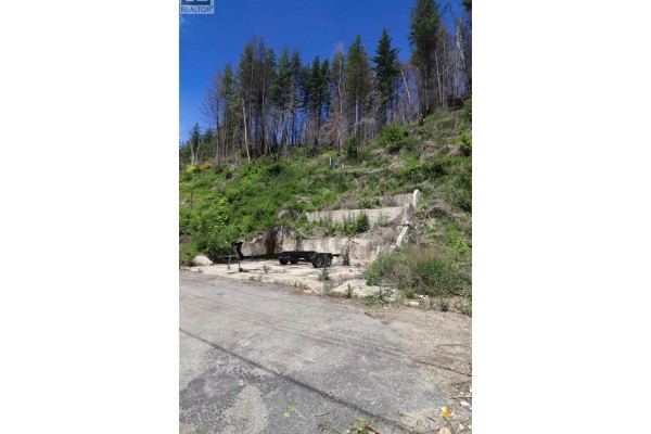 5185 Squilax Anglemont Road, Celista, BC V0E1M6 Photo 5