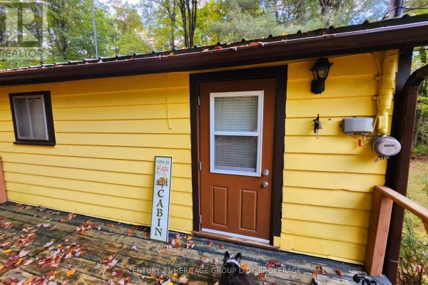 Close-up of brown cabin door and yellow siding with a small window on the left. - 51a Thompson Lane, Rideau Lakes