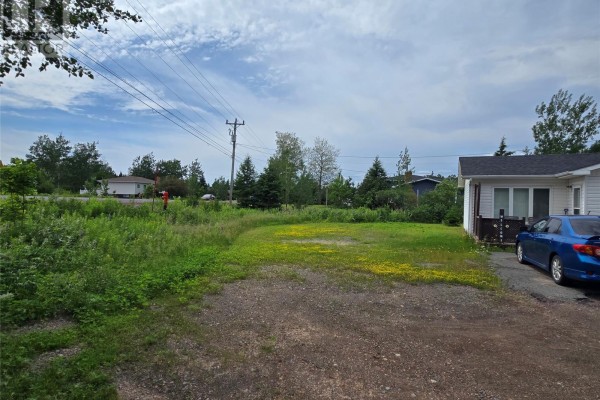 52 Sacrey's Road, Botwood, NL A0H1E0 Photo 4