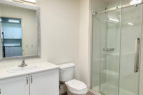 Bathroom with vanity, toilet, and glass-enclosed shower. - 520 - 135 Station Street, Belleville