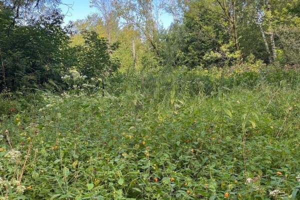 5218 Hillview Drive, Hamilton Township, ON K0K2H0 Photo 4