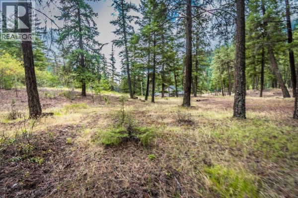 5225 12 Highway, Lillooet, BC V0K1V0 Photo 4