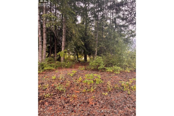 5231 Tallington Drive, Celista, BC V0E1M6 Photo 2