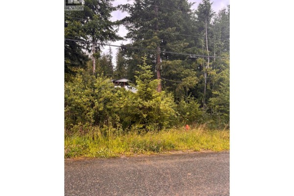 5231 Tallington Drive, Celista, BC V0E1M6 Photo 3