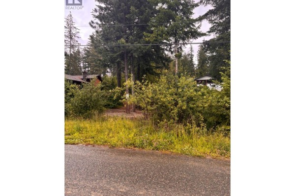 5231 Tallington Drive, Celista, BC V0E1M6 Photo 4
