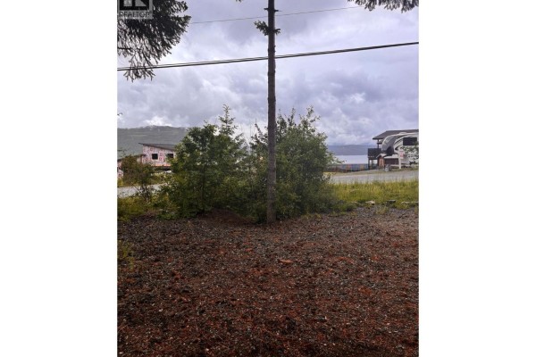 5231 Tallington Drive, Celista, BC V0E1M6 Photo 5