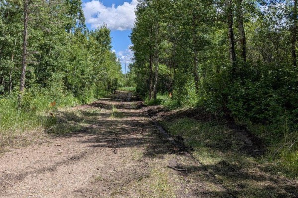 52346 Rge Road 224, Rural Strathcona County, AB T8C1C1 Photo 2