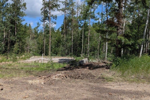 52346 Rge Road 224, Rural Strathcona County, AB T8C1C1 Photo 3