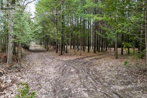 523782 Concession 12 Road, West Grey, ON, photo 2