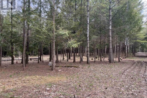 523782 Concession 12 Road, West Grey, ON, photo 3