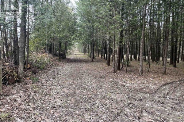 523782 Concession 12 Road, West Grey, ON N0C1H0 Photo 4