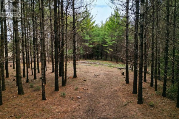 523782 Concession 12 Road, West Grey, ON N0C1H0 Photo 5