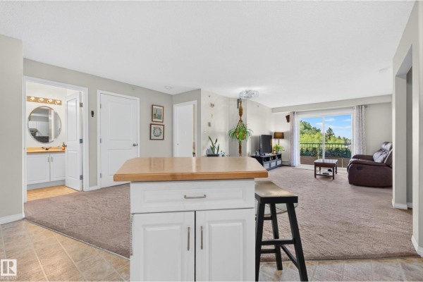 #526 11325 83 St Nw, Edmonton, AB T5B4W5 Photo 3