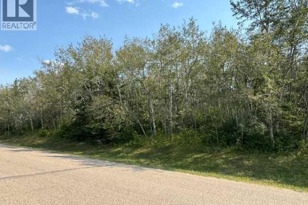 5260 38 Street, Ponoka, AB T4J1C8 Photo 4