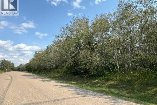 5260 38 Street, Ponoka, AB T4J1C8 Photo 5