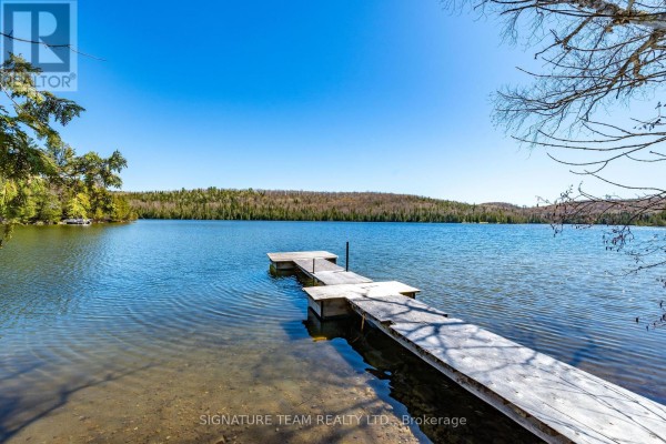 527 B Lorwell Lake Drive, Brudenell, Lyndoch And Raglan, ON K0J2A0 Photo 5
