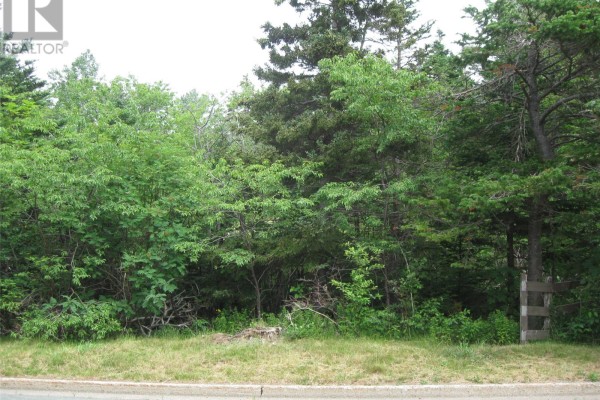 53 A Lawrence Pond Road E, Conception Bay South, NL A1X4C6 Photo 2