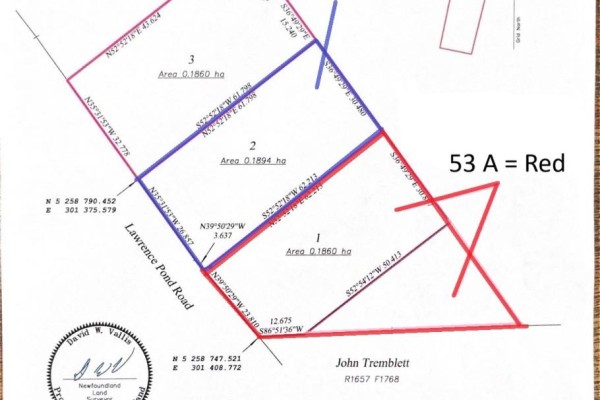 53 A Lawrence Pond Road E, Conception Bay South, NL A1X4C6 Photo 4