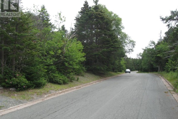 53 B Lawrence Pond Road E, Conception Bay South, NL A1X4C6 Photo 3