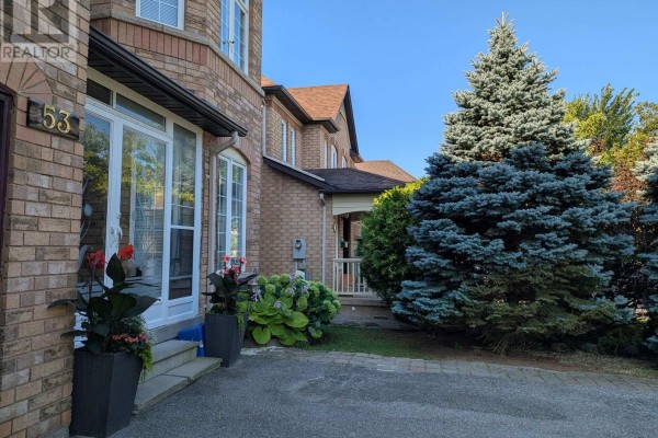 Family room - 53 Elmrill Road, Markham, ON L6C2P1 Photo 5