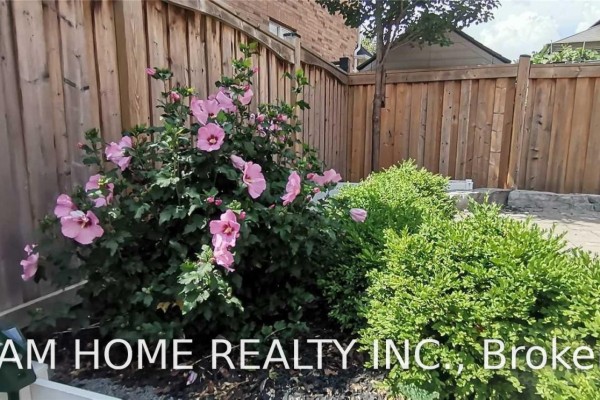Family room - 53 Hermitage Boulevard, Markham, ON L6E0S4 Photo 5