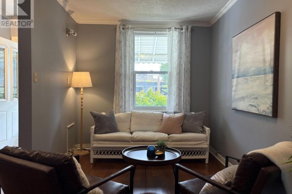 Family room - 53 Louisa Street, Ottawa, ON K1R6Y7 Photo 4