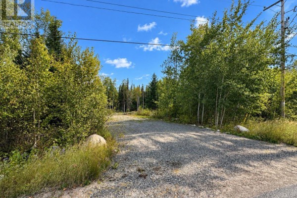 53 Mcmanus Street, Red Lake, ON P0V1C0 Photo 4