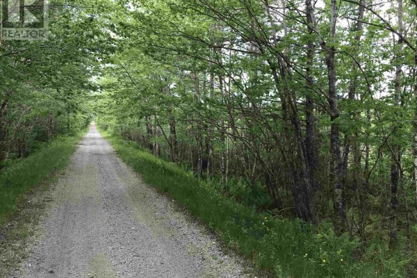 53.03 Acres Highway 308 Highway, Belleville, NS B0W3M0 Photo 2