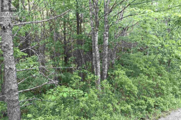 53.03 Acres Highway 308 Highway, Belleville, NS B0W3M0 Photo 3