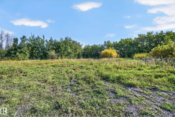 53068 Rge Road 222, Rural Strathcona County, AB T8E2A2 Photo 4