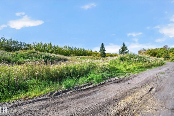 53068 Rge Road 222, Rural Strathcona County, AB T8E2A2 Photo 5