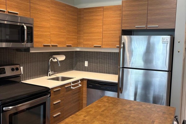 531 - 349 Mcleod Street, Ottawa, ON K2P0S1 Photo 5