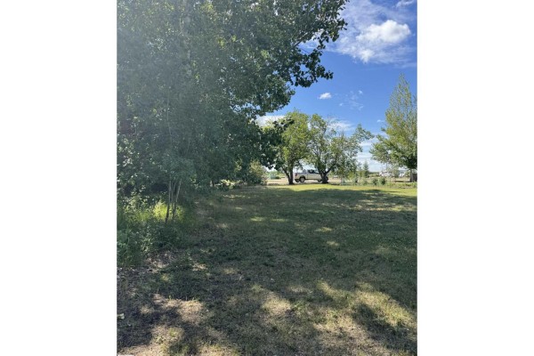 5318 Railway Av, Elk Point, AB T0A1A0 Photo 4