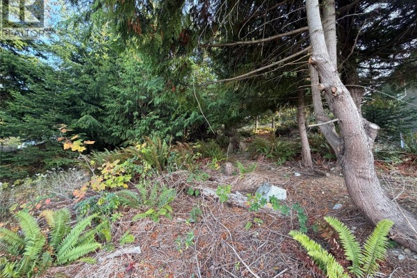5323 Dewar Rd, Nanaimo, BC  Photo 3