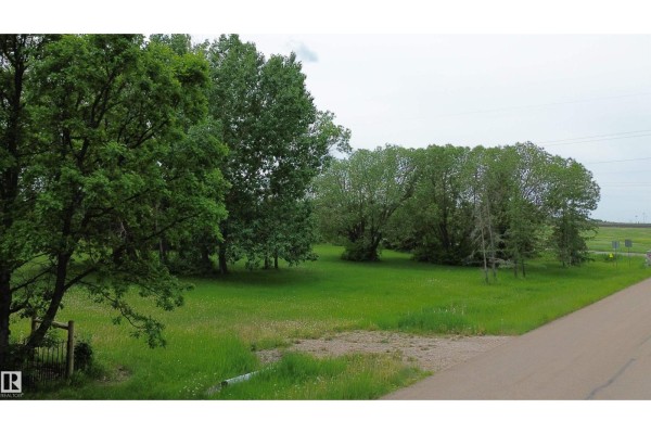 View of a grassy field with mature trees and a paved road on the right side. - 53371 Rge Road 231, Rural Strathcona County