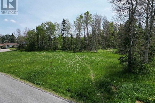 536 Mccamus Avenue, Temiskaming Shores, ON, photo 2