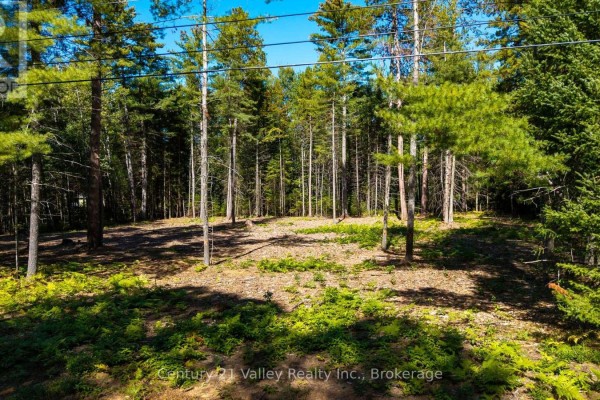 536 Pine Street, Greater Madawaska, ON, photo 2