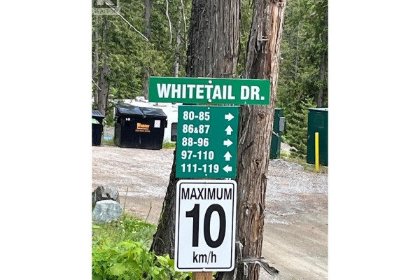 5363 Squilax-anglemont Road Lot# 116, Celista, BC V0E1M6 Photo 4