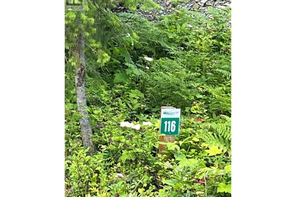 5363 Squilax-anglemont Road Lot# 116, Celista, BC V0E1M6 Photo 5