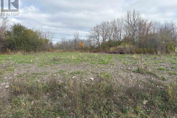 5363 Woodland Drive, South Stormont, ON K0C1M0 Photo 3