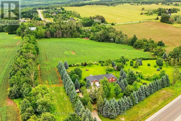 537086 Main St, Melancthon, ON L9V1X6 Photo 3