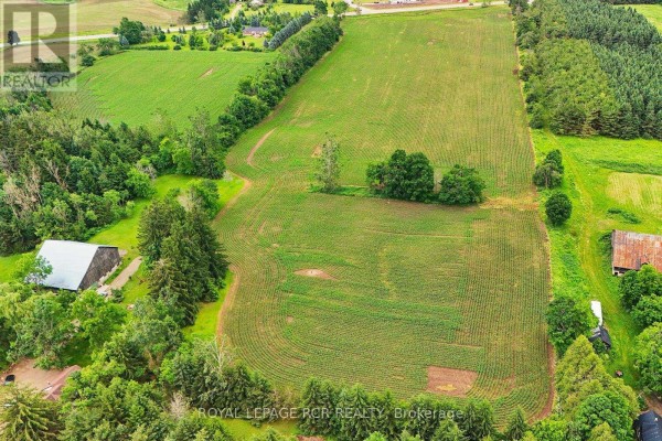 537086 Main St, Melancthon, ON L9V1X6 Photo 5