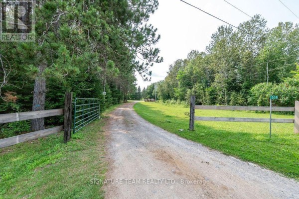 Gravel driveway with wooden fences and gates leading to the property, with trees lining the sides. - 538 Lenser Road, Bonnechere Valley