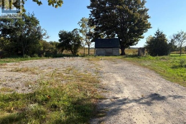Open gravel area in front of a rustic wooden shed, with mature trees and fields visible in the background. - 538 Main Street E, Dunnville