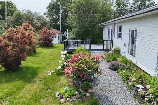 5381 Highway 19, Judique, NS B0E1P0 Photo 2