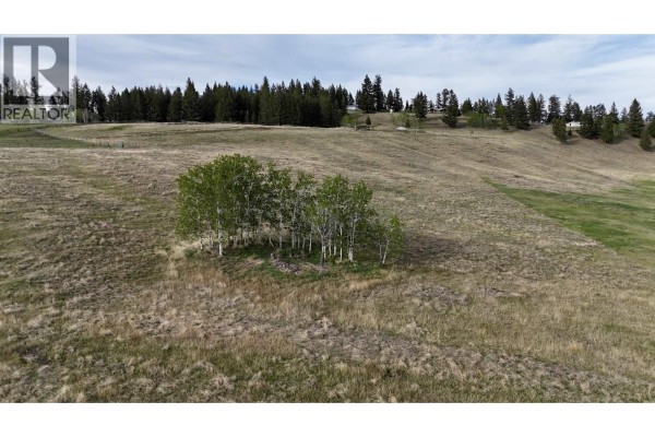5387 Tatton Station Road, 108 Mile Ranch, BC V0K2E1 Photo 4